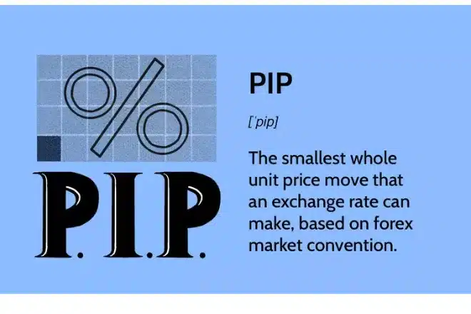 what is a pip