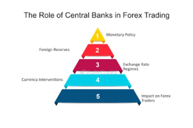 The Role in Forex Trading