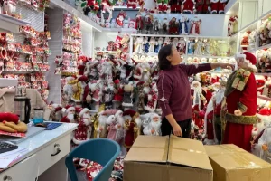 China-made Christmas Items in High Demand as U.S. Retailers Brace for Tariff Shifts