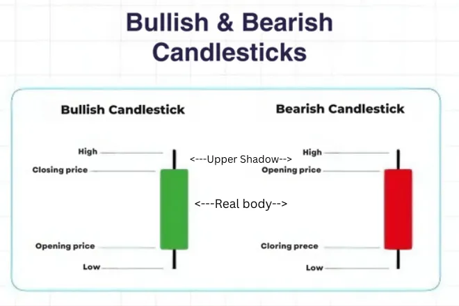 Bullish vs Bearish Candlestick